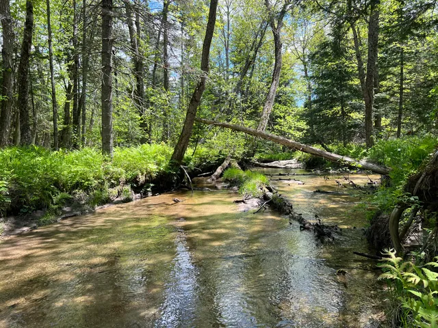 $100,000 | Lot A Goodwin Road, Carthage, ME 04224
