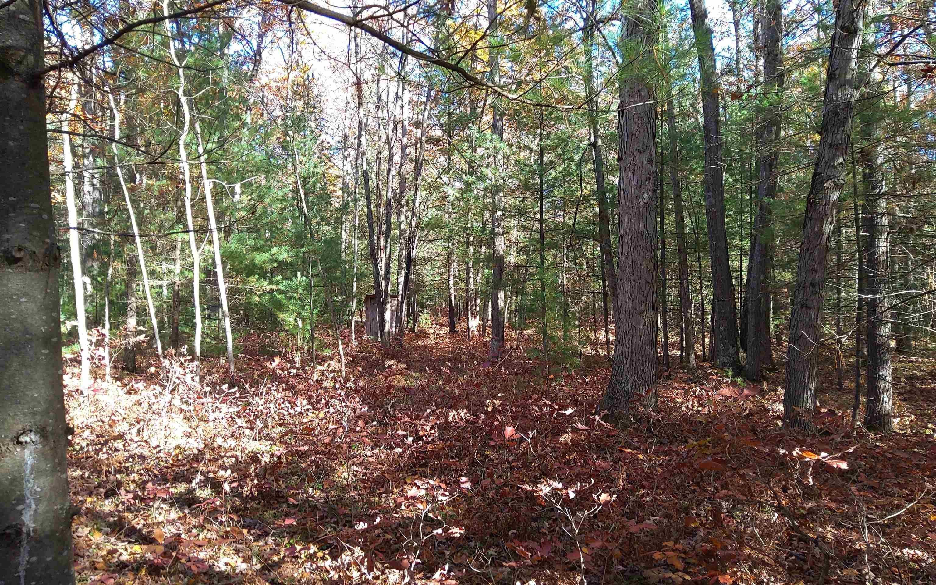Vl Hall Creek Road Interlochen, MI 49643 - Photo 5 of 5