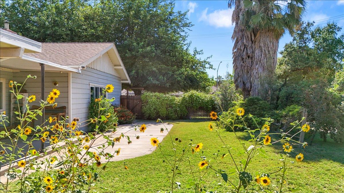 28937 Upper Road Newman, CA 95360 - Photo 5 of 36 This photo was taken during spring time