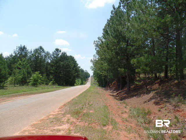 500 County Road 462 Kinston, AL 36453 - Photo 15 of 25