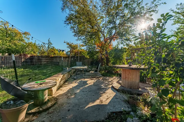 a view of a park with plants and a bench