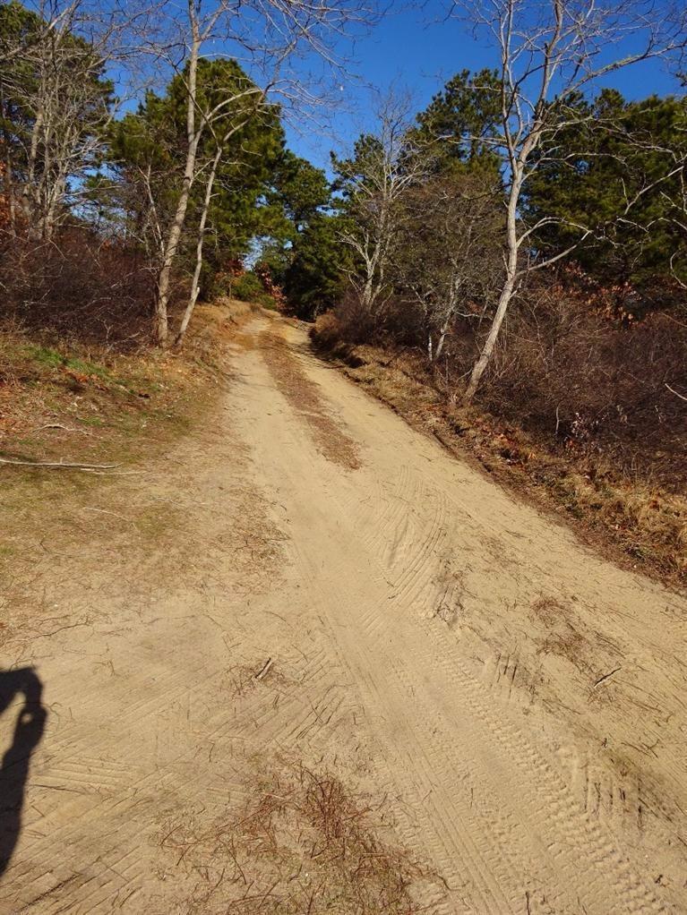 10 Centre Street Wellfleet, MA 02667 - Photo 31 of 34 Additional Photo