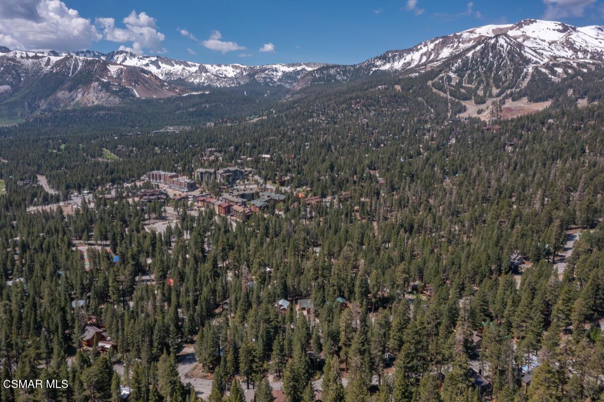 343 Grindelwald Road Mammoth Lakes, CA 93546 - Photo 49 of 60 343 Grindelwald MLS 157