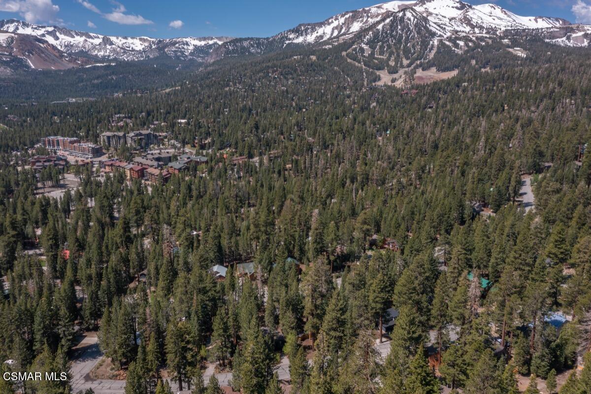 343 Grindelwald Road Mammoth Lakes, CA 93546 - Photo 52 of 60 343 Grindelwald MLS 154