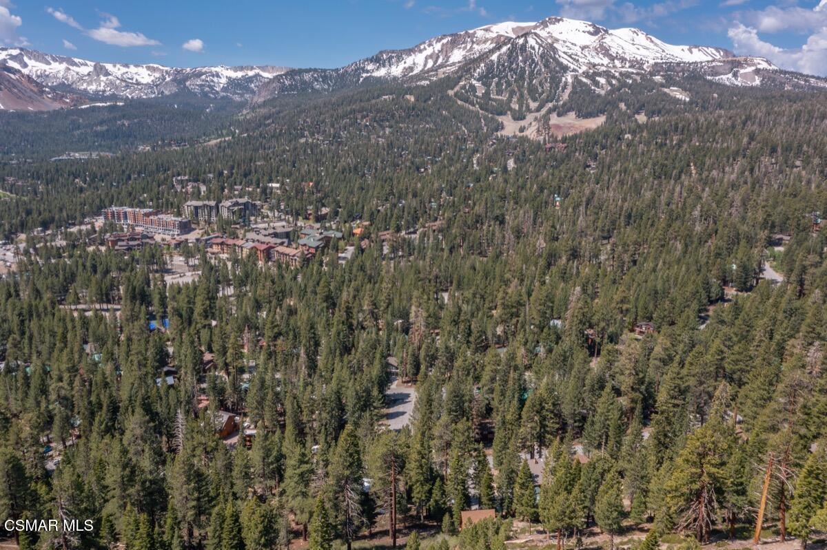 343 Grindelwald Road Mammoth Lakes, CA 93546 - Photo 55 of 60 343 Grindelwald MLS 156