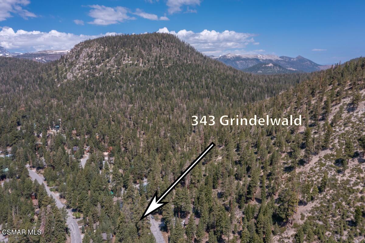 343 Grindelwald Road Mammoth Lakes, CA 93546 - Photo 58 of 60 343 Grindelwald MLS 100