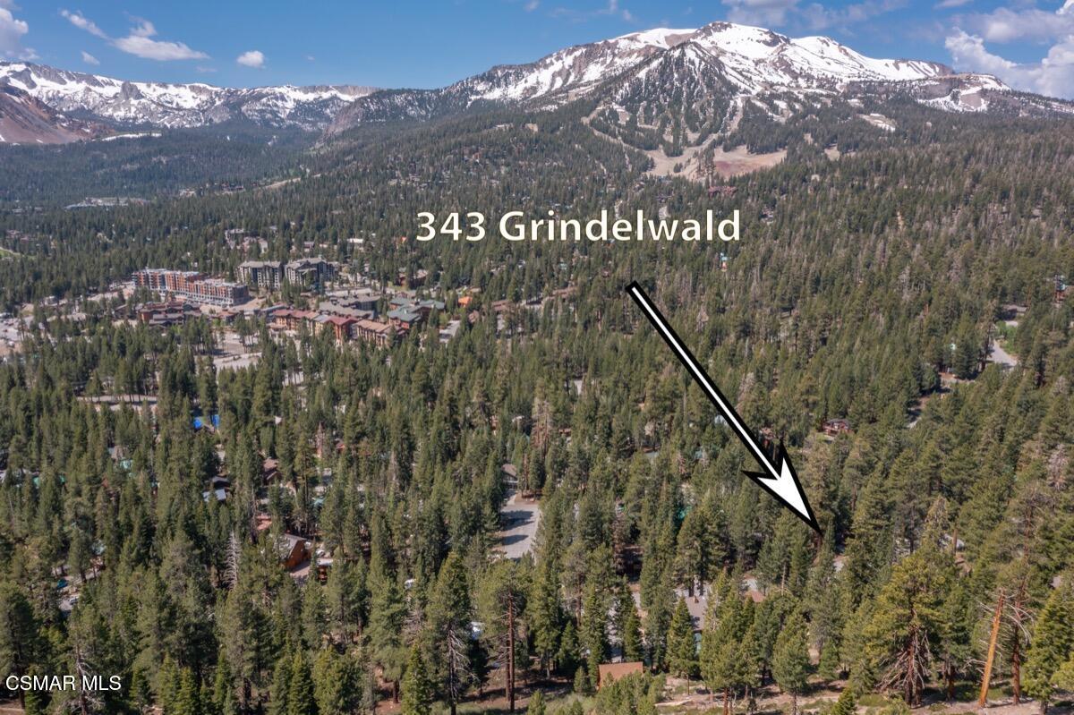 343 Grindelwald Road Mammoth Lakes, CA 93546 - Photo 60 of 60 343 Grindelwald MLS 103
