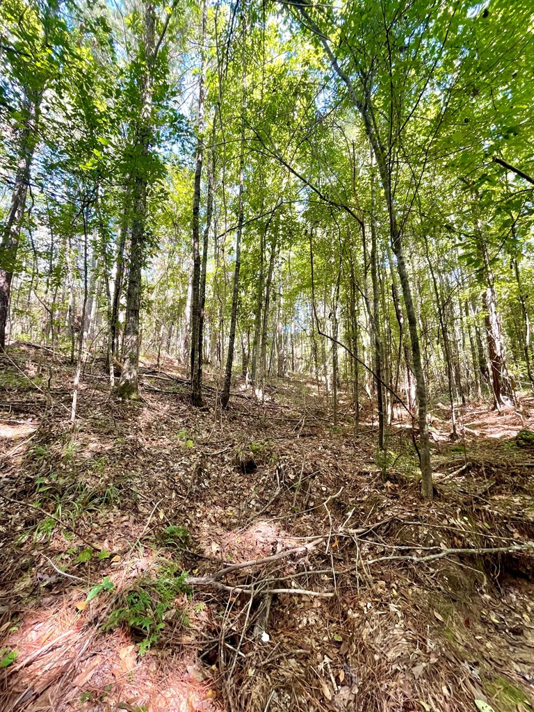 3593 Bouie Mill Road Northwest Brookhaven, MS 39601 - Photo 8 of 23 Photo 8