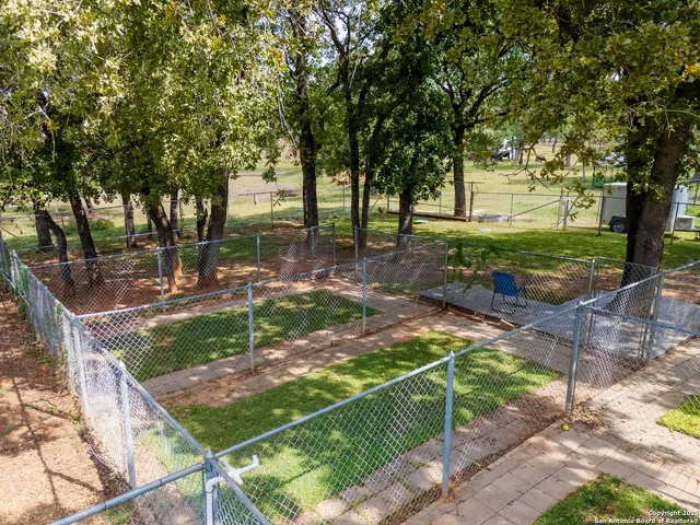 a view of a backyard with large trees