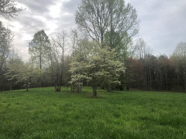 582 Head River Ranch Road Menlo, GA 30731 - Photo 12 of 20