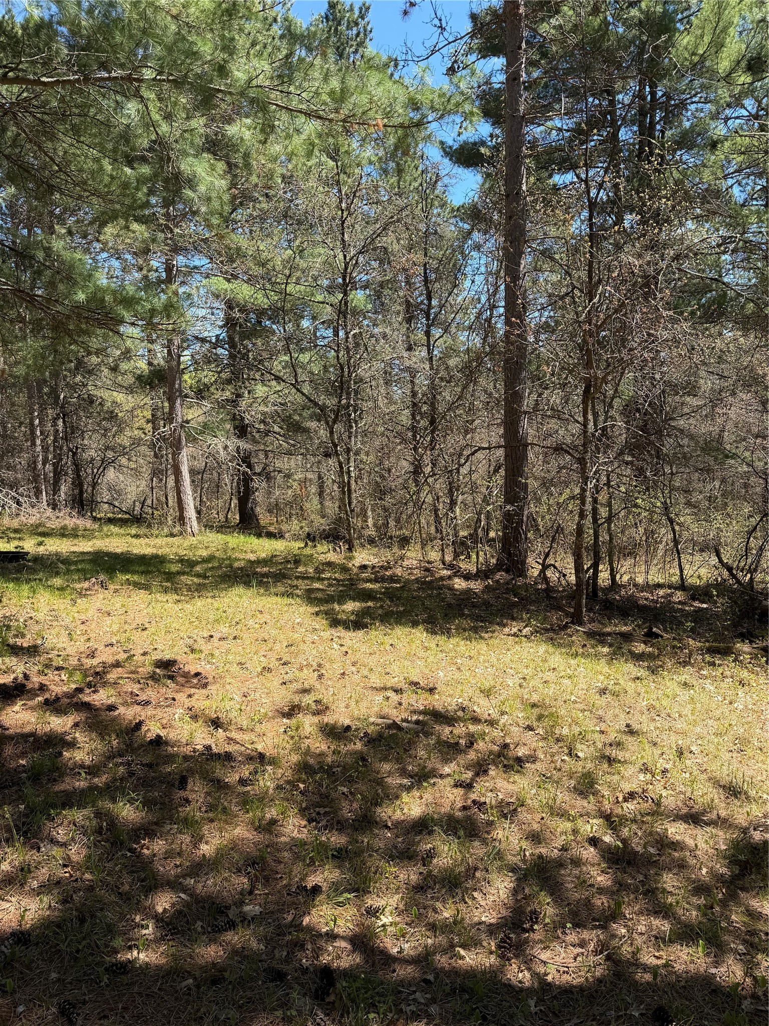 2395 Island Lake Road Barnes, WI 54873 - Photo 13 of 16