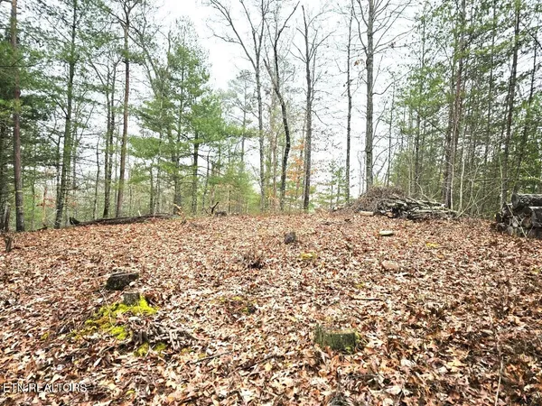 $120,000 | 514 Percussion Court, Walland, TN 37886