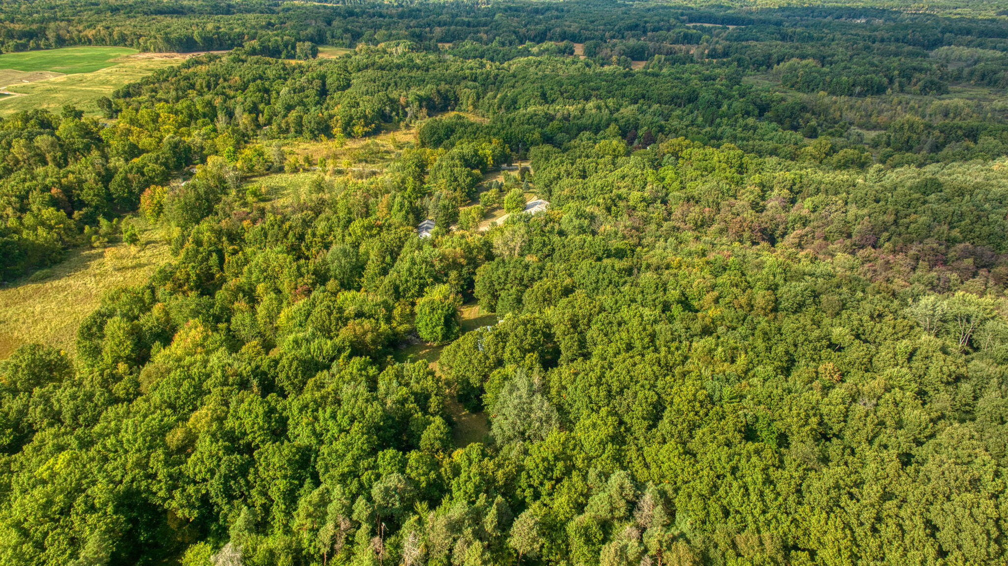 1865 Lindsey Road Clarklake, MI 49234 - Photo 4 of 73 70-web-or-mls-DJI_0549_HDR