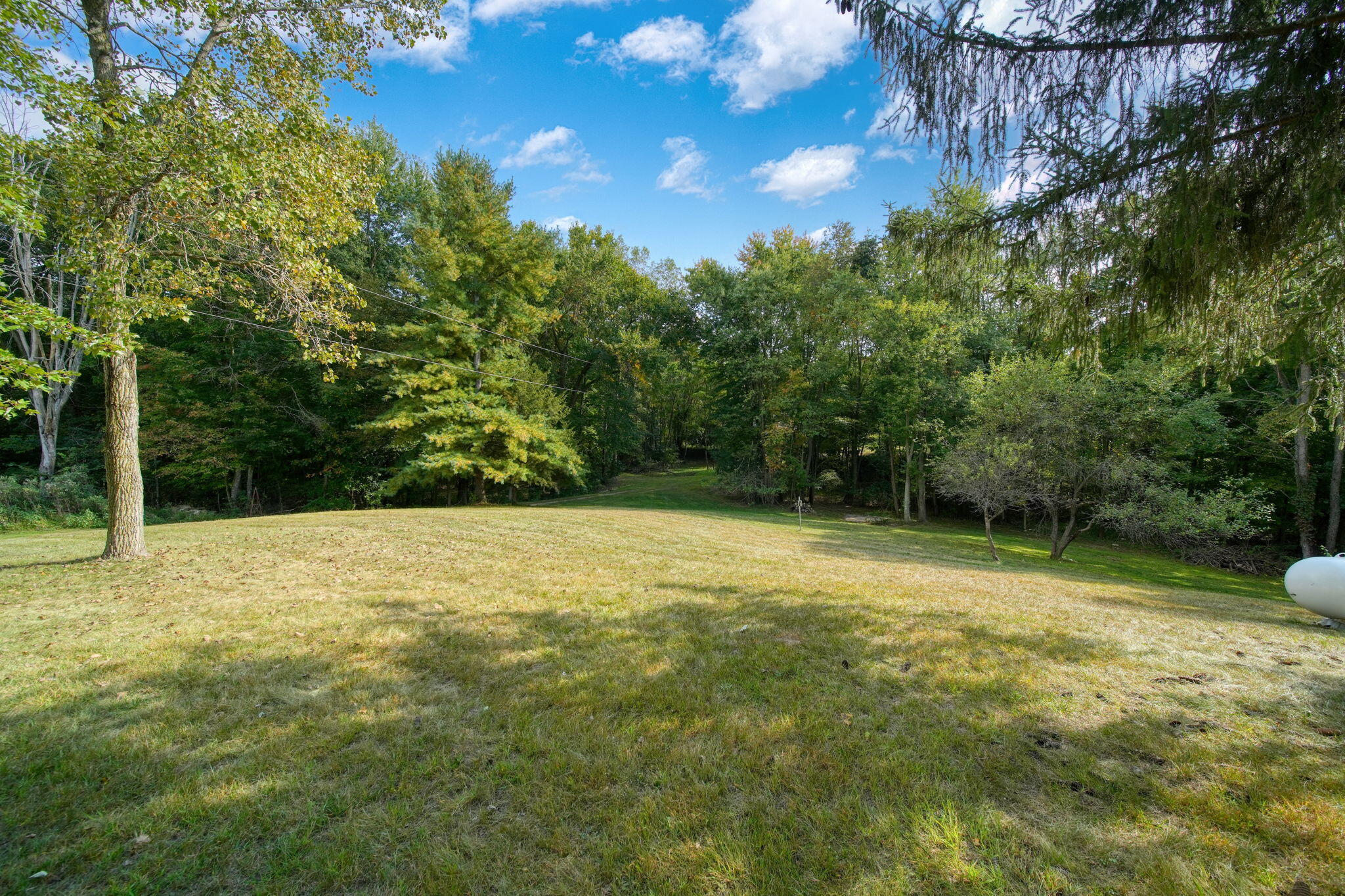 1865 Lindsey Road Clarklake, MI 49234 - Photo 47 of 73 44