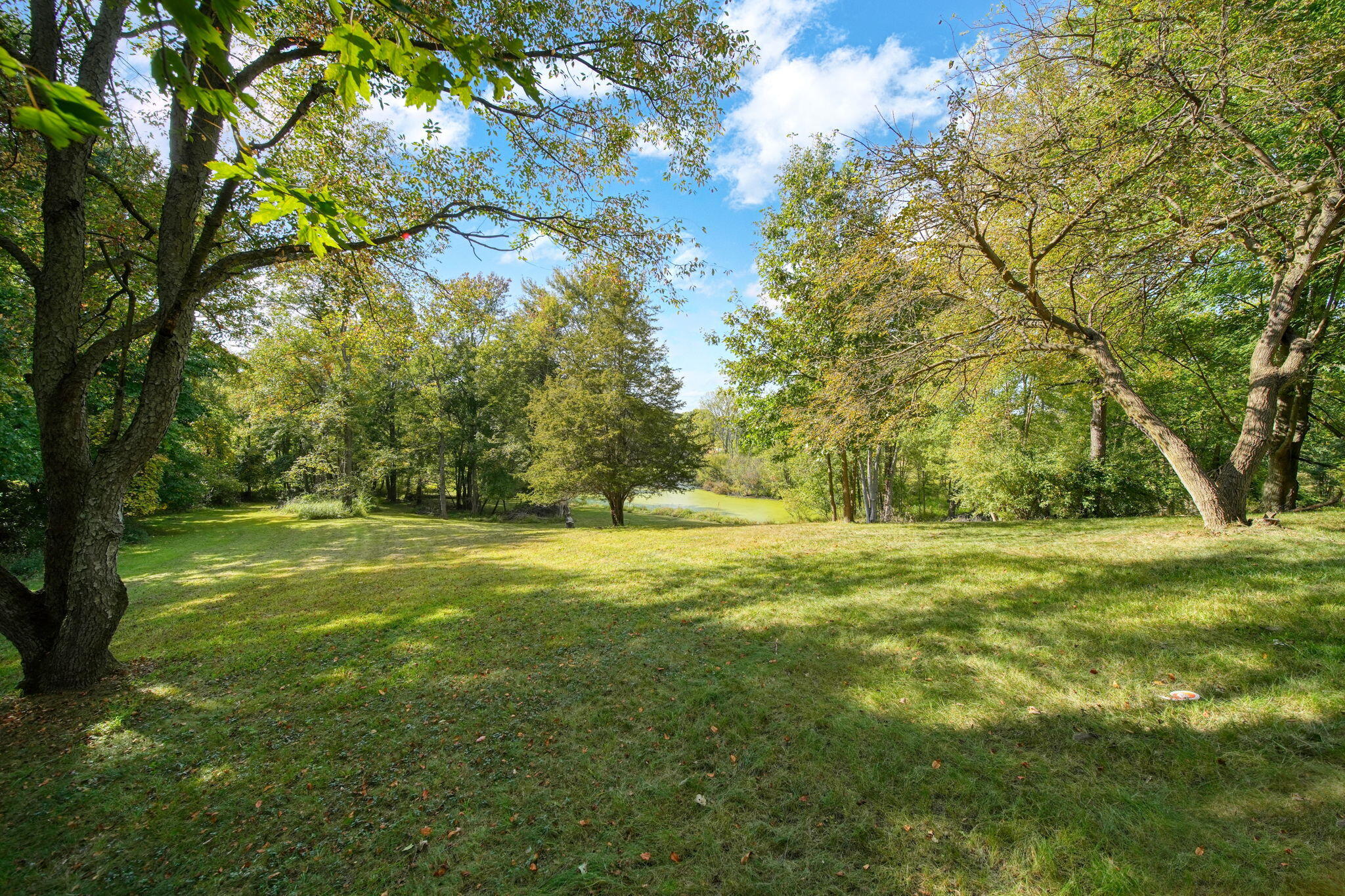 1865 Lindsey Road Clarklake, MI 49234 - Photo 50 of 73 47