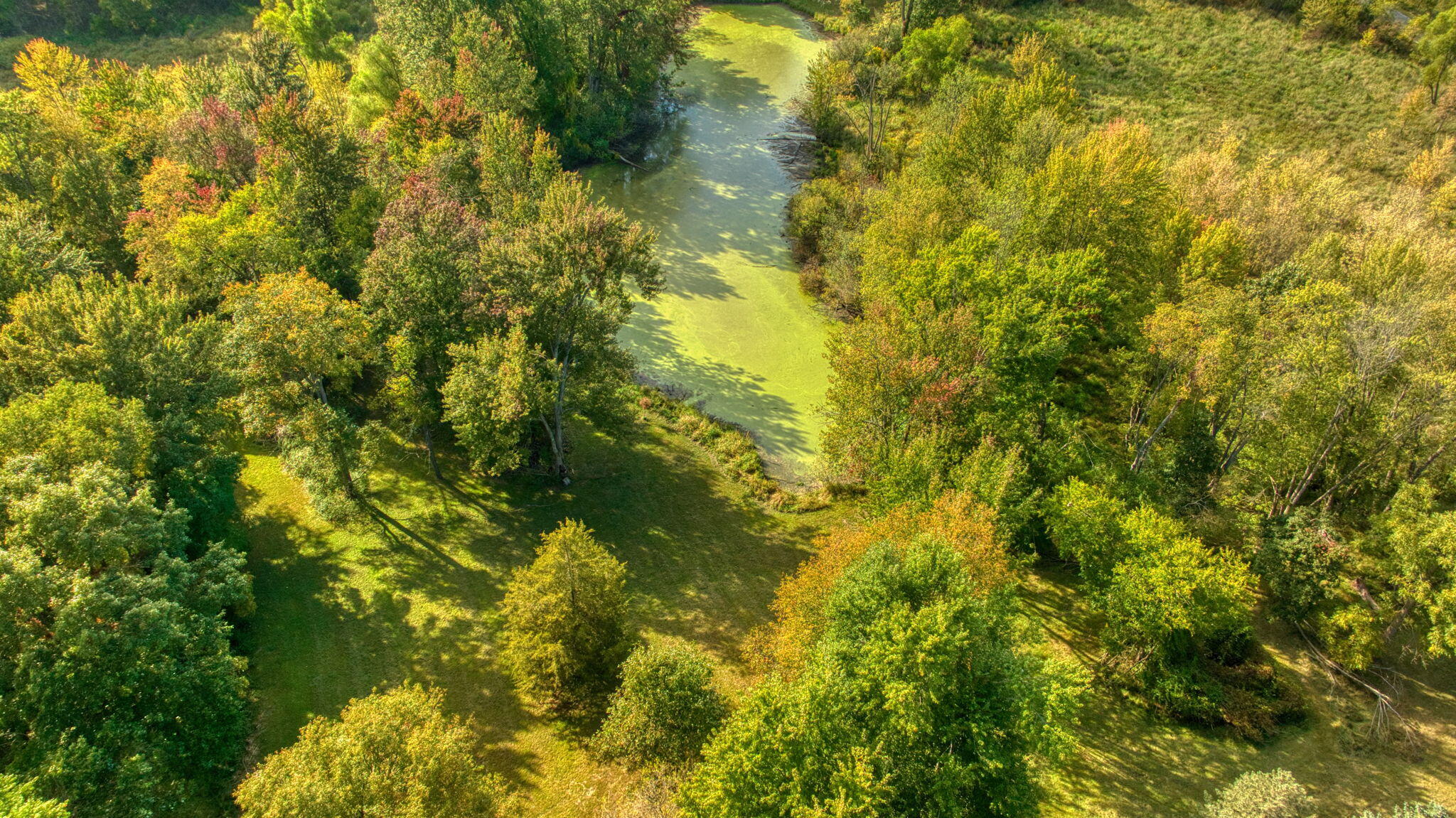 1865 Lindsey Road Clarklake, MI 49234 - Photo 65 of 73 66-web-or-mls-DJI_0559_HDR