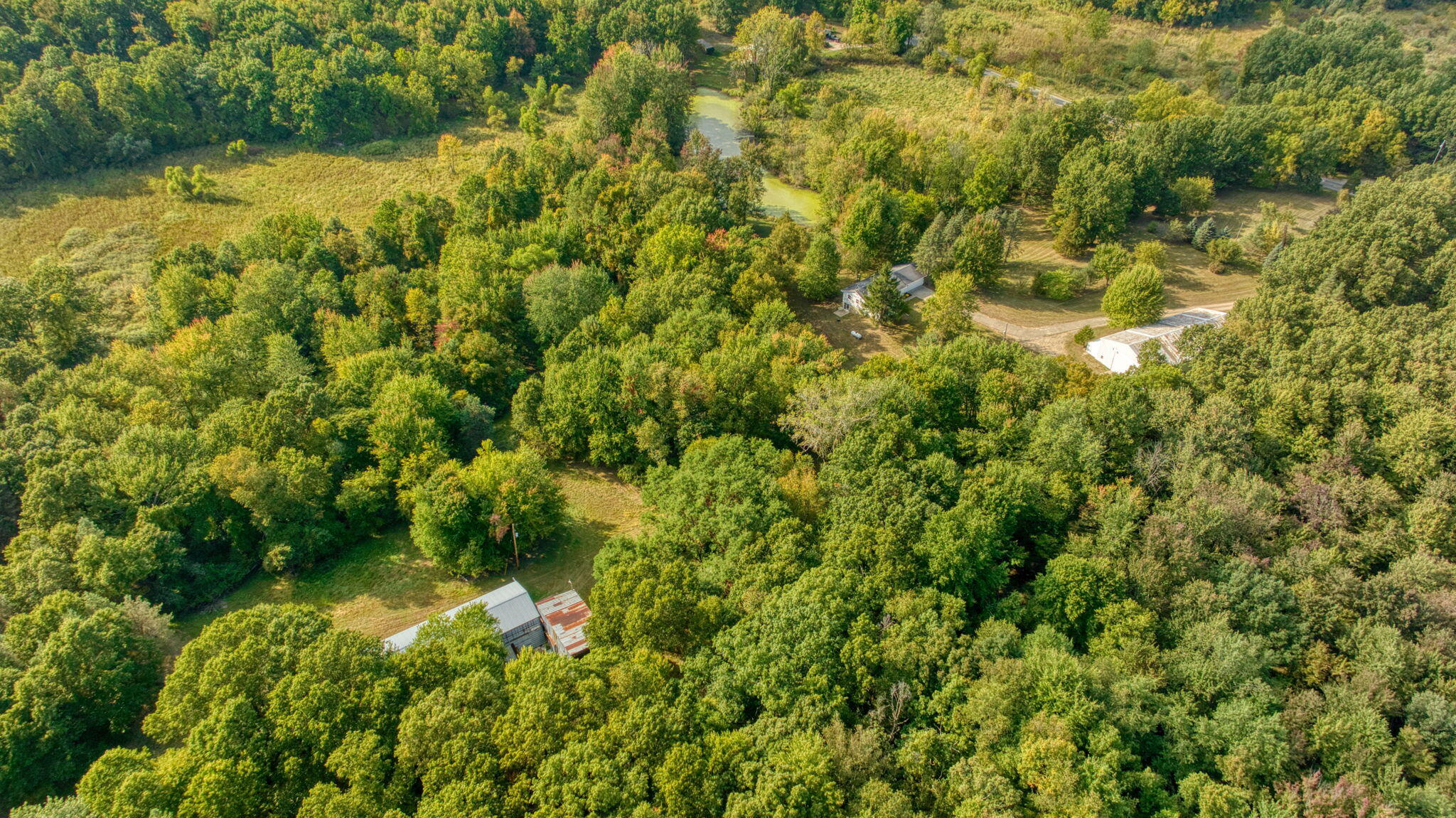 1865 Lindsey Road Clarklake, MI 49234 - Photo 67 of 73 68-web-or-mls-DJI_0555_HDR