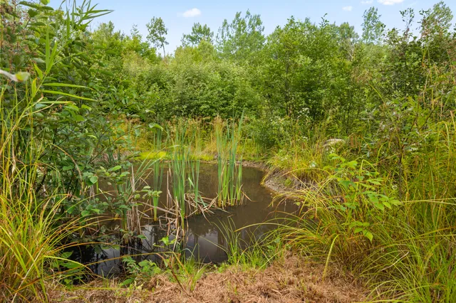 $275,000 | 0 Green Acres Road, Wilton, ME 04294