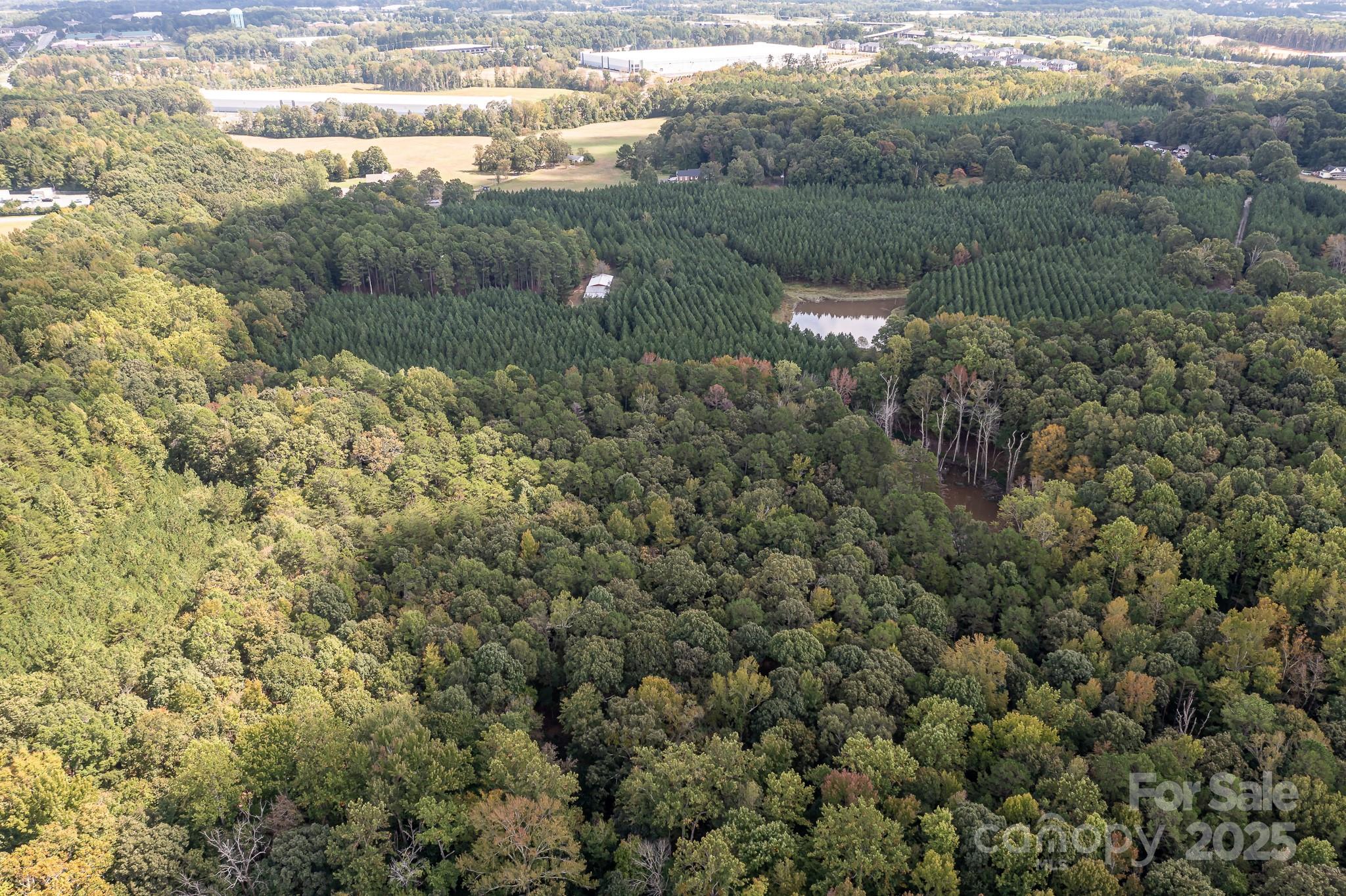 11001 Mt Holly-Huntersville Road Huntersville, NC 28078 - Photo 5 of 11