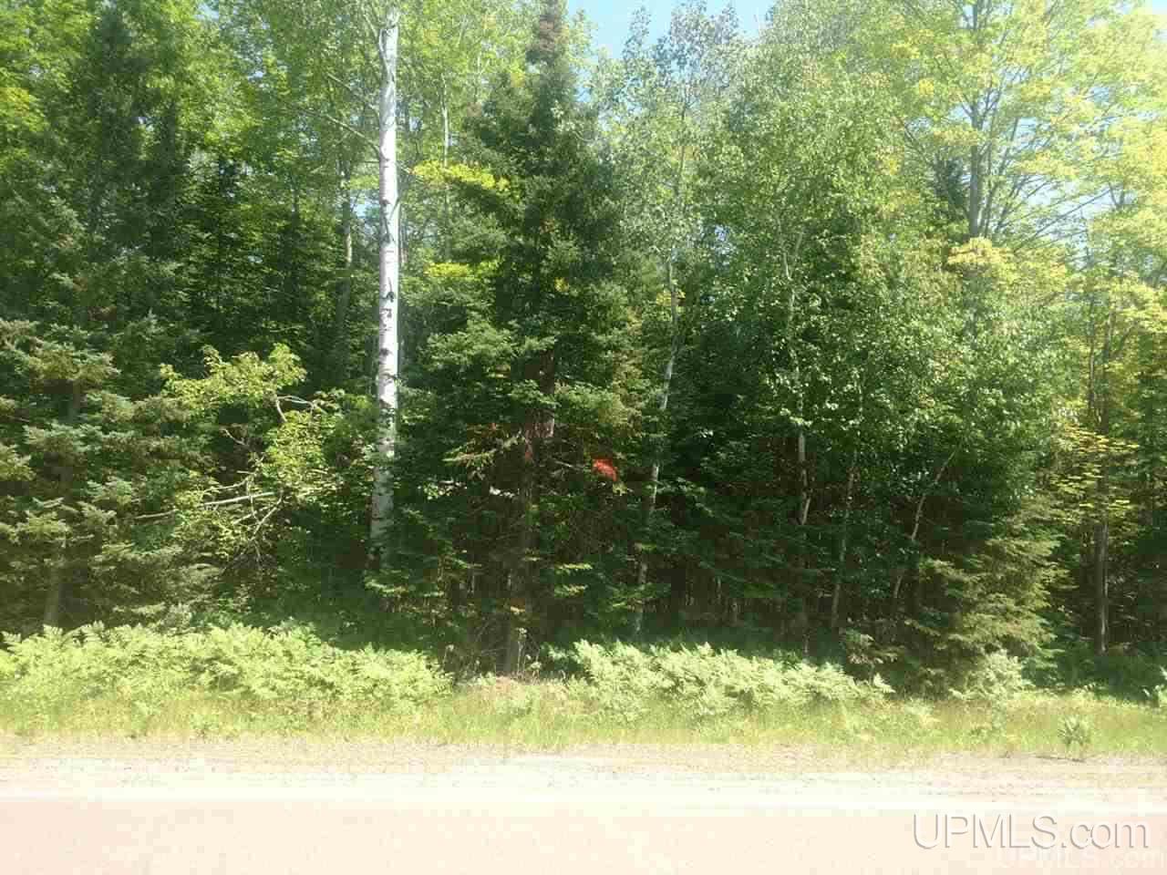 Tbd Karschney Road South Lanse, MI 49946 - Photo 1 of 11