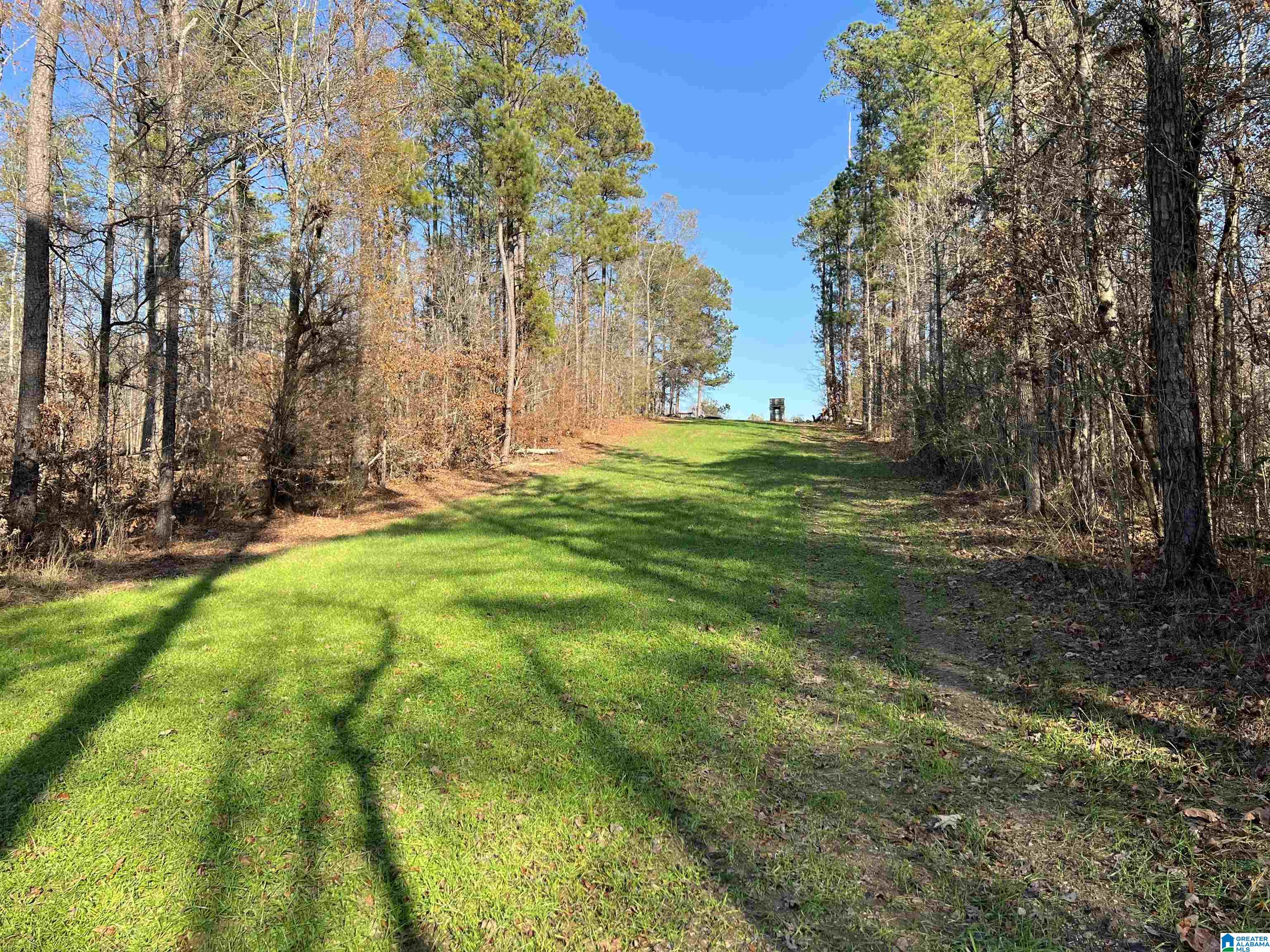 1721 Westover Road Sterrett, AL 35147 - Photo 7 of 10