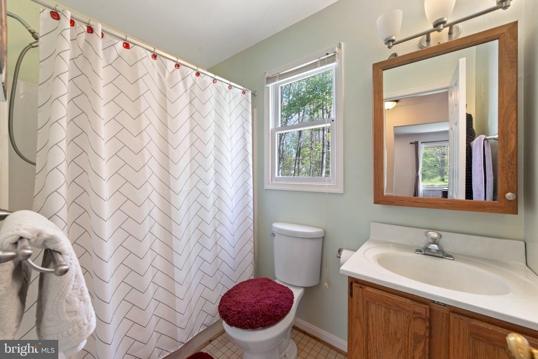 6293 Waterford Road Rixeyville, VA 22737 - Photo 19 of 46 Main Level Full Bathroom