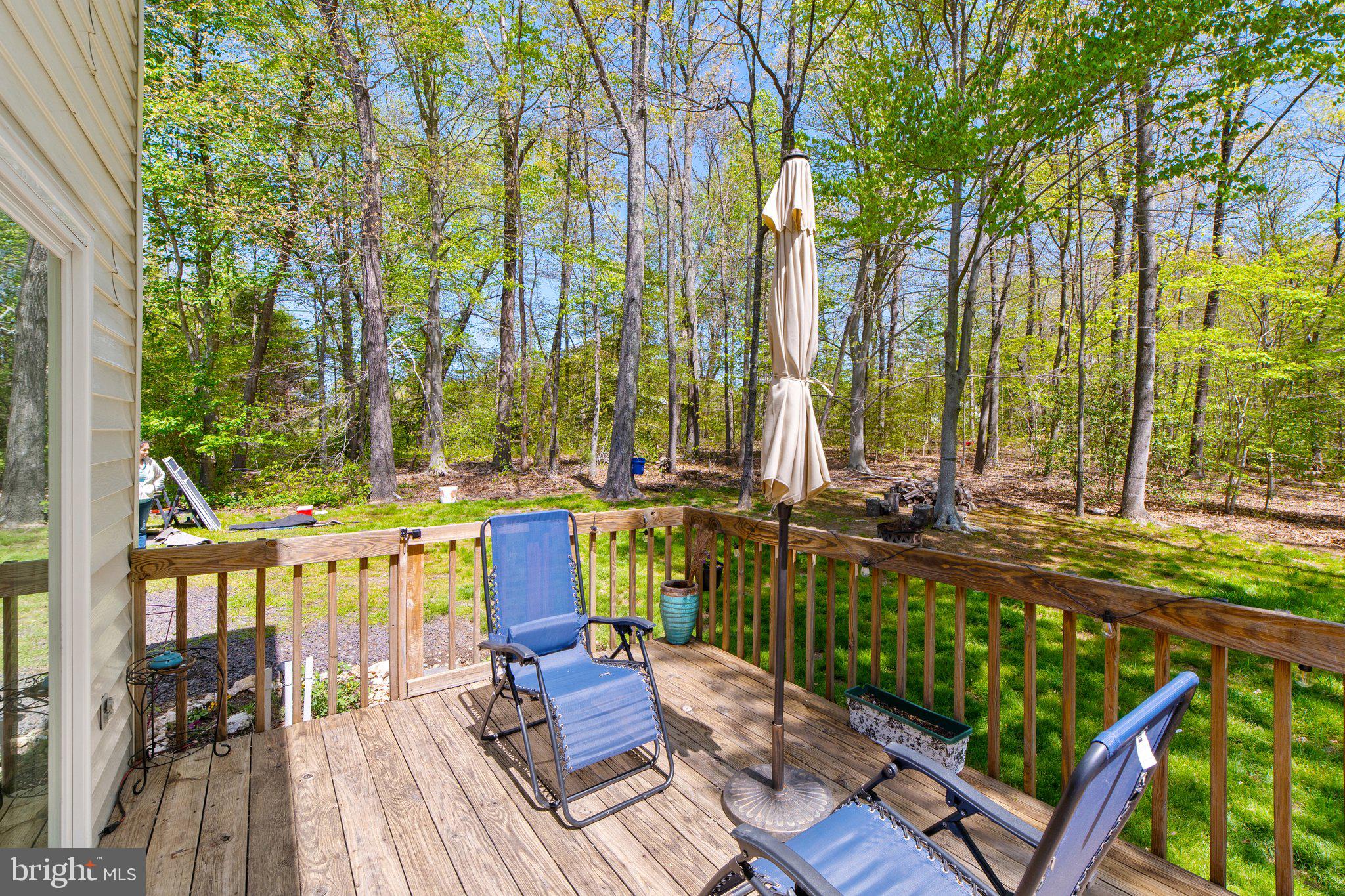 6293 Waterford Road Rixeyville, VA 22737 - Photo 32 of 46 Private Back Deck