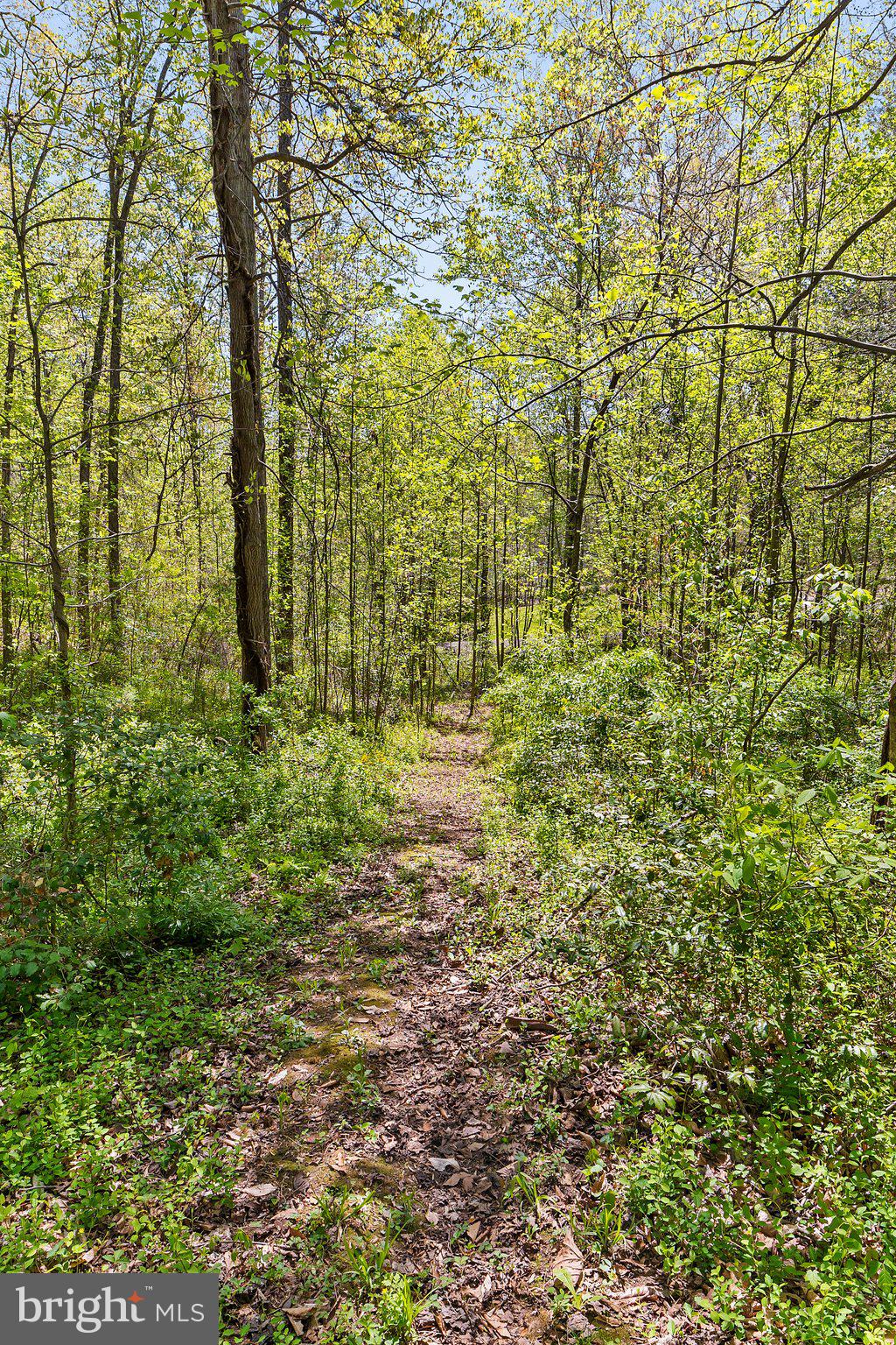 6293 Waterford Road Rixeyville, VA 22737 - Photo 42 of 46