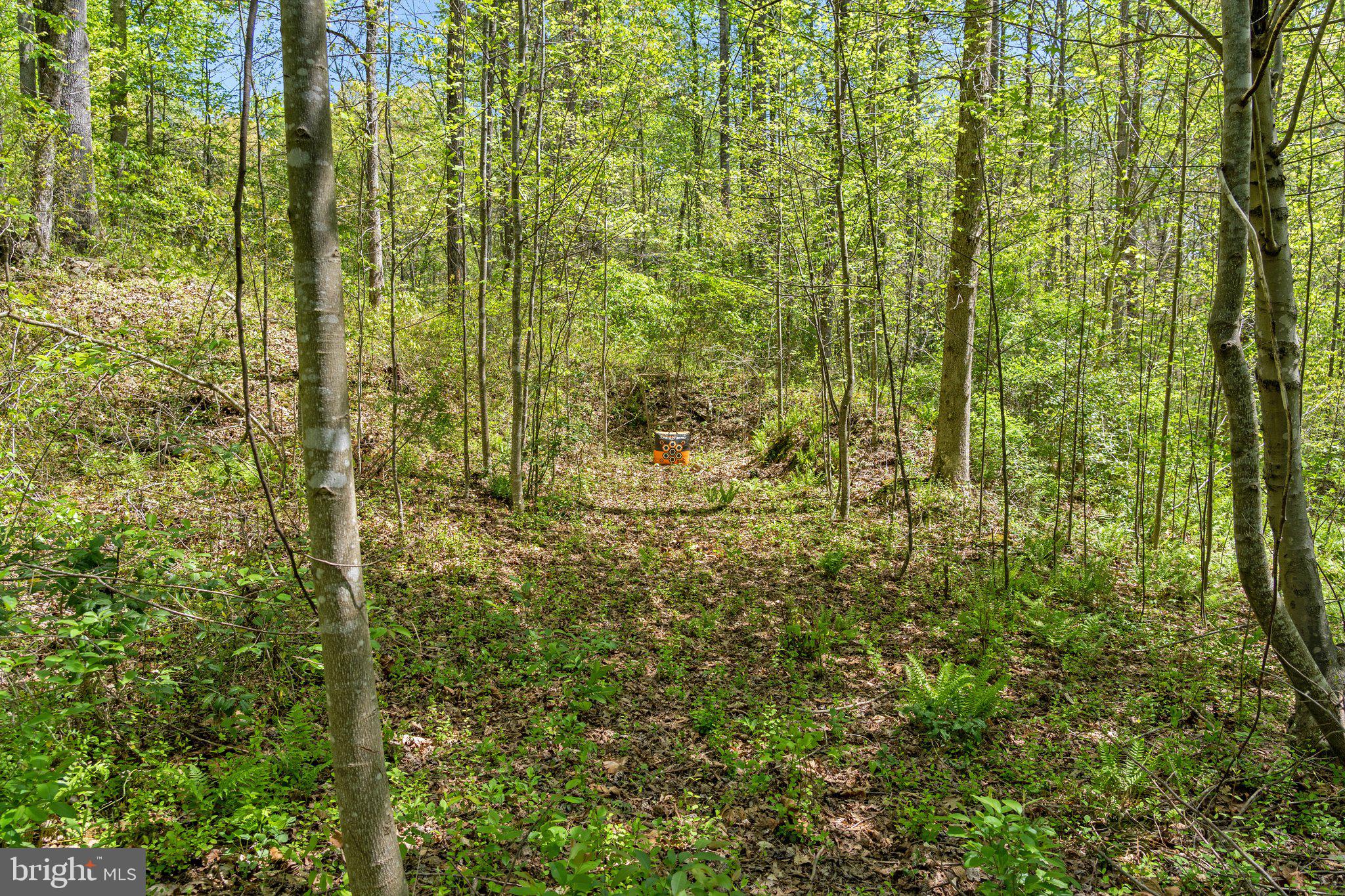 6293 Waterford Road Rixeyville, VA 22737 - Photo 43 of 46