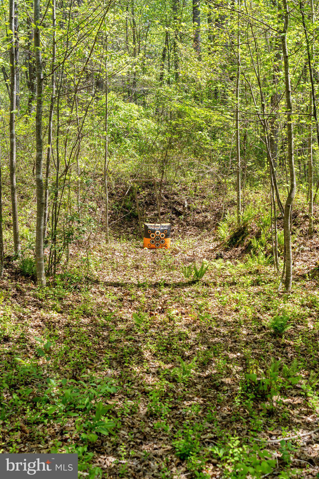 6293 Waterford Road Rixeyville, VA 22737 - Photo 44 of 46 Archery Range