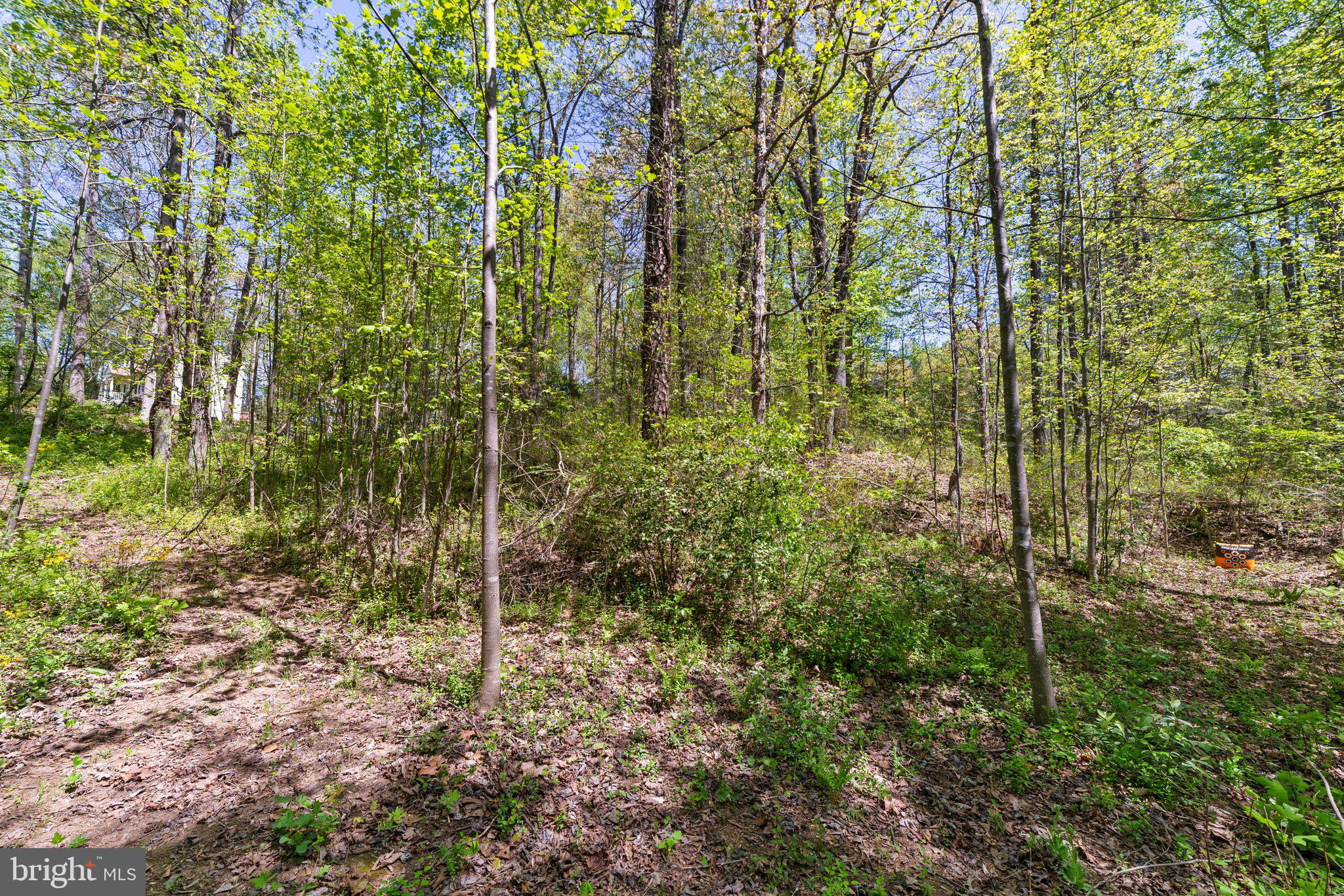 6293 Waterford Road Rixeyville, VA 22737 - Photo 45 of 46