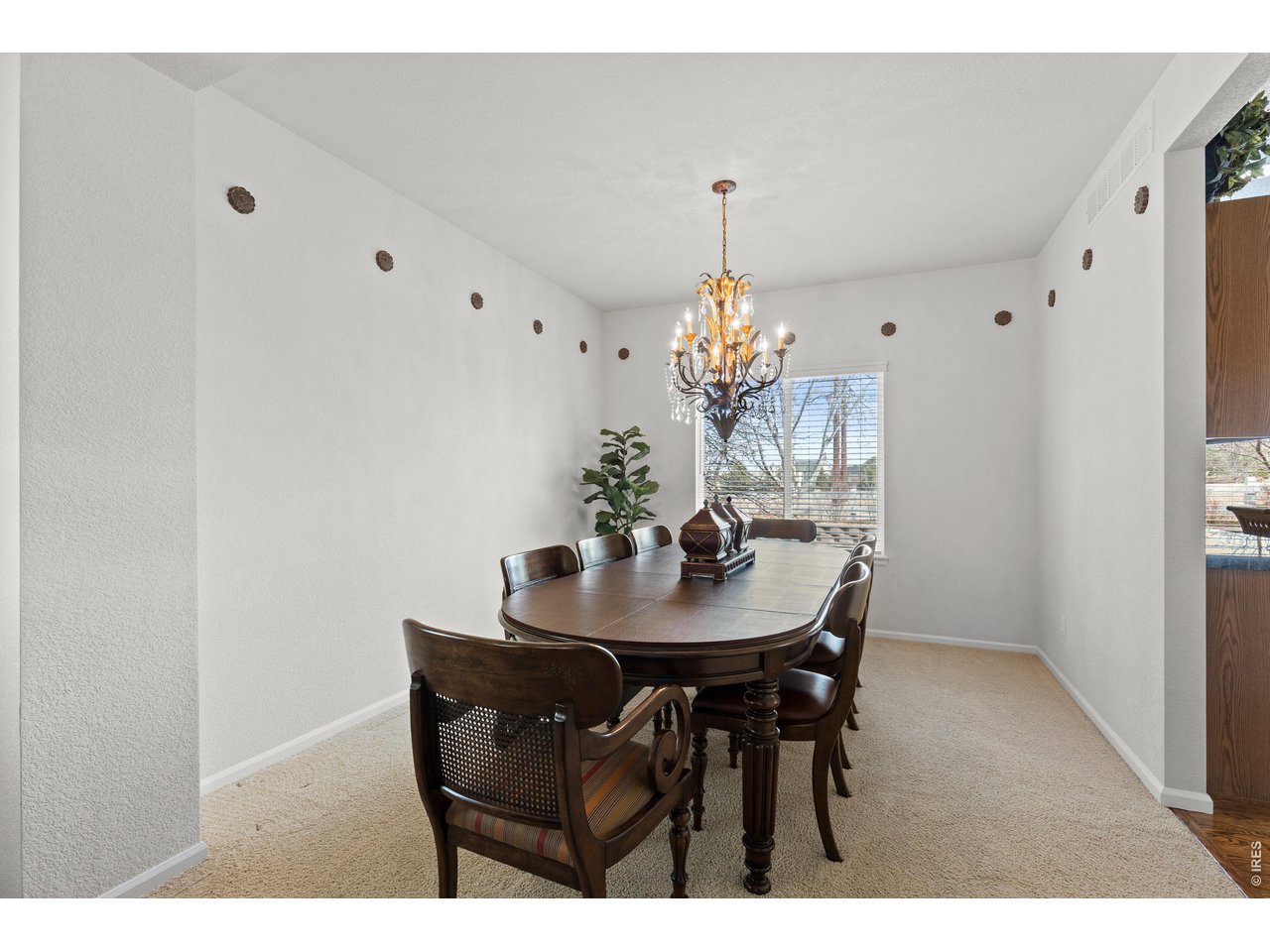 8316 Briar Ridge Drive Castle Pines, CO 80108 - Photo 10 of 50