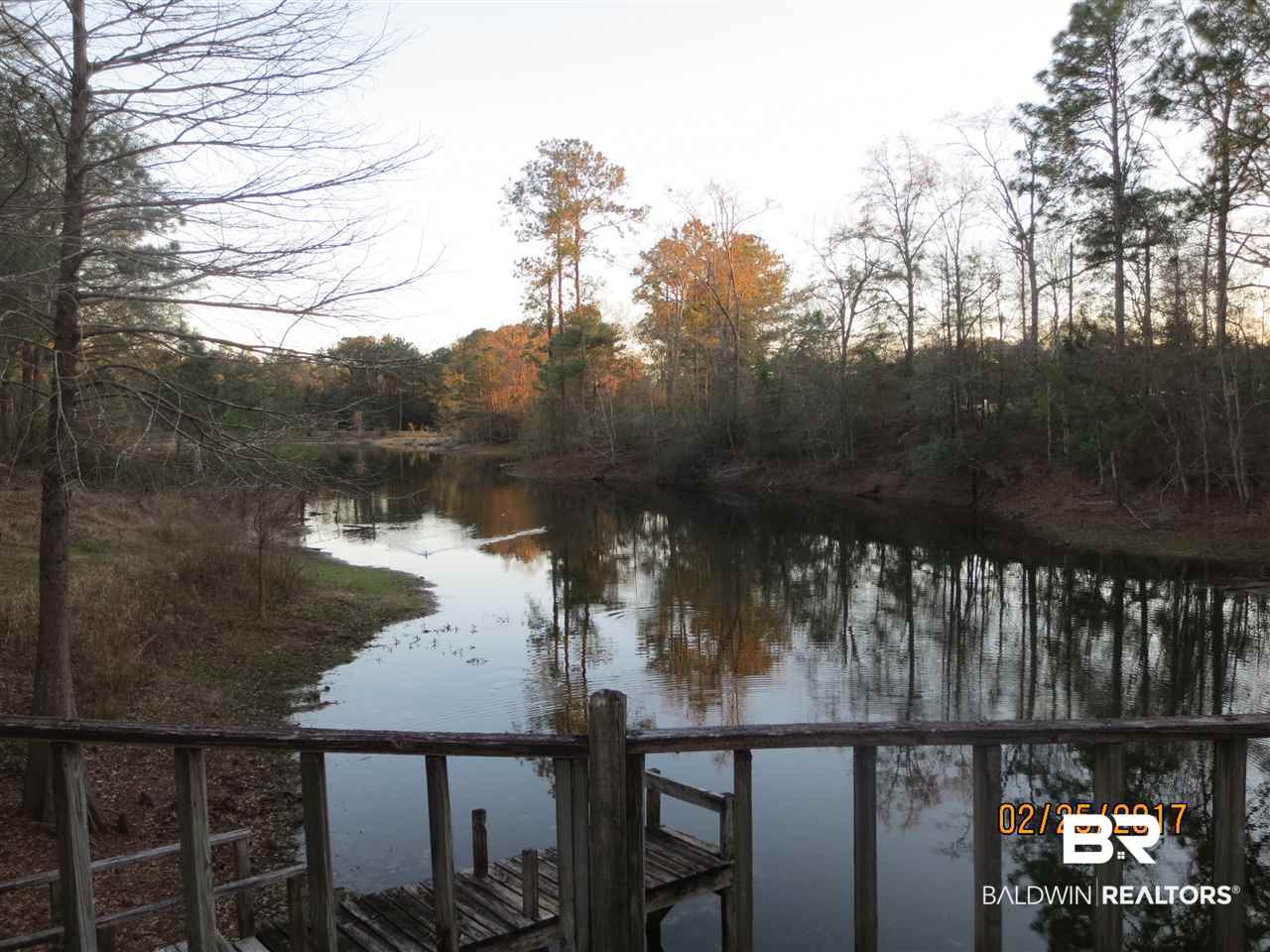 12360 Bromley Road Stapleton, AL 36578 - Photo 7 of 20 Beautiful Scenery