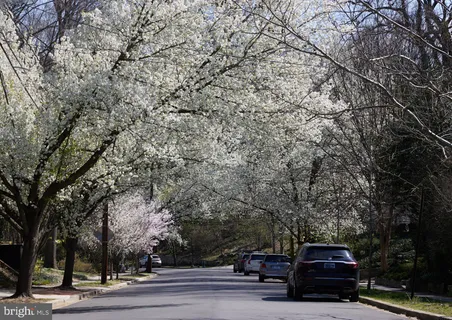 $4,475,000 | 2733 Chesapeake Street Northwest, Washington, DC 20008