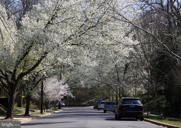$4,695,000 | 2733 Chesapeake Street Northwest, Washington, DC 20008