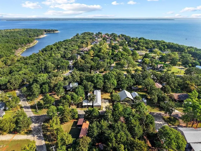 a view of a lush green space