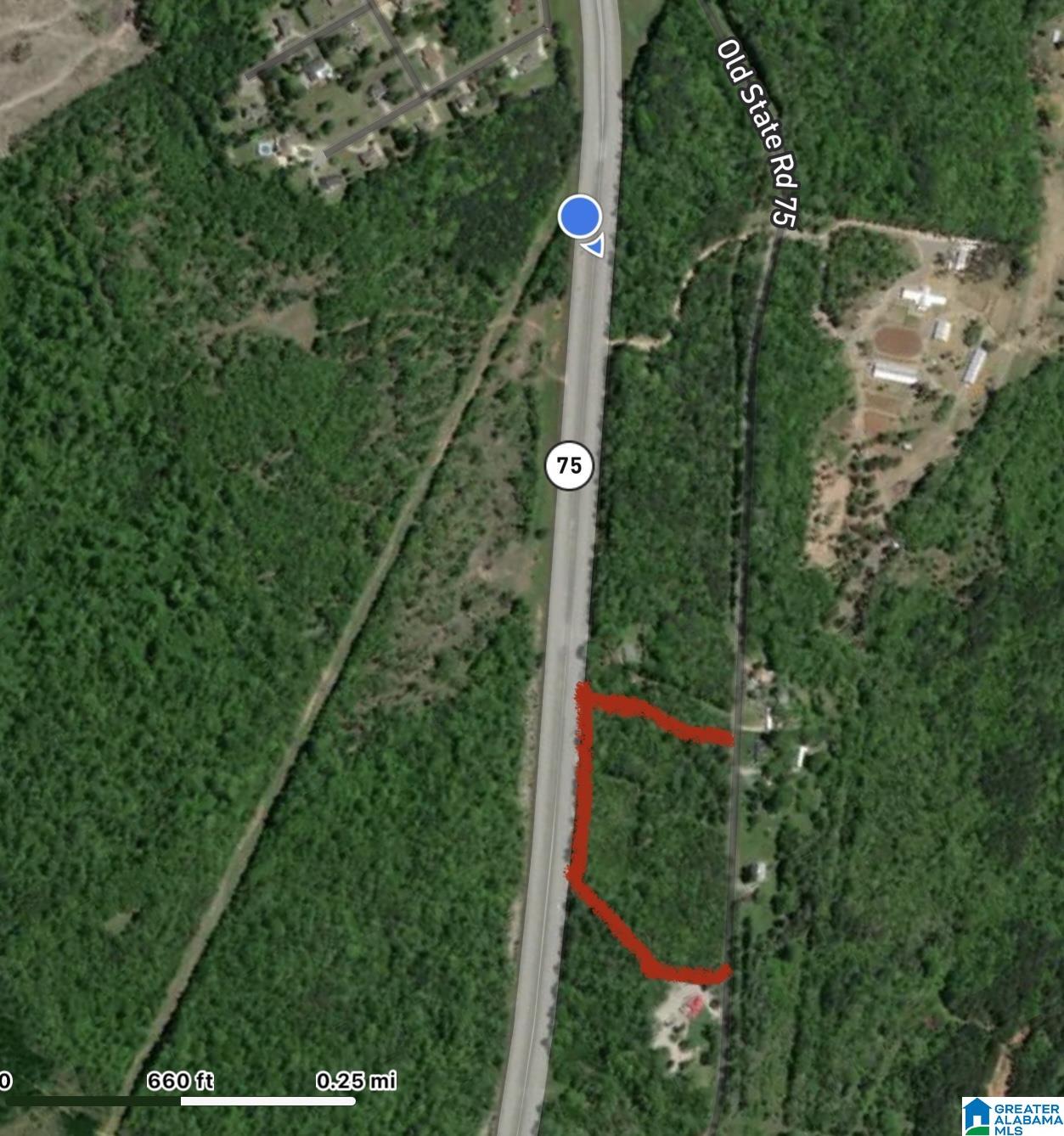 0 Old Highway 75, Unit ACREAGE Oneonta, AL 35121 - Photo 3 of 3