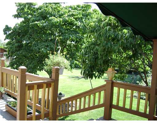 Yard/Garden. 