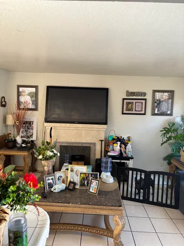 a living room with furniture and a fireplace