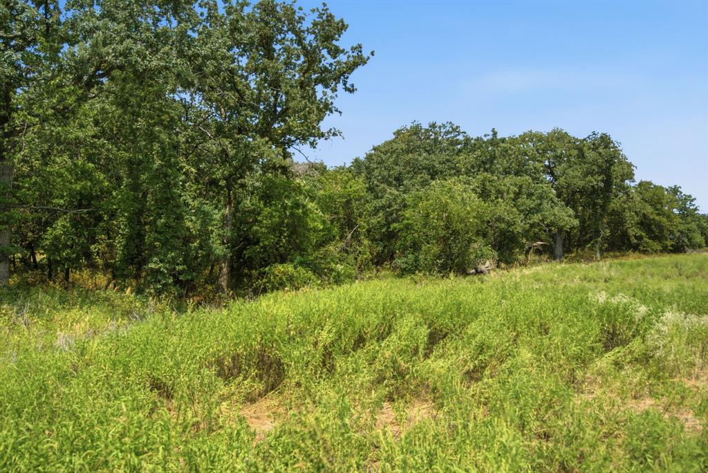 374 Clark Lake Road Weatherford, TX 76088 - Photo 35 of 38 Gallery Image 35
