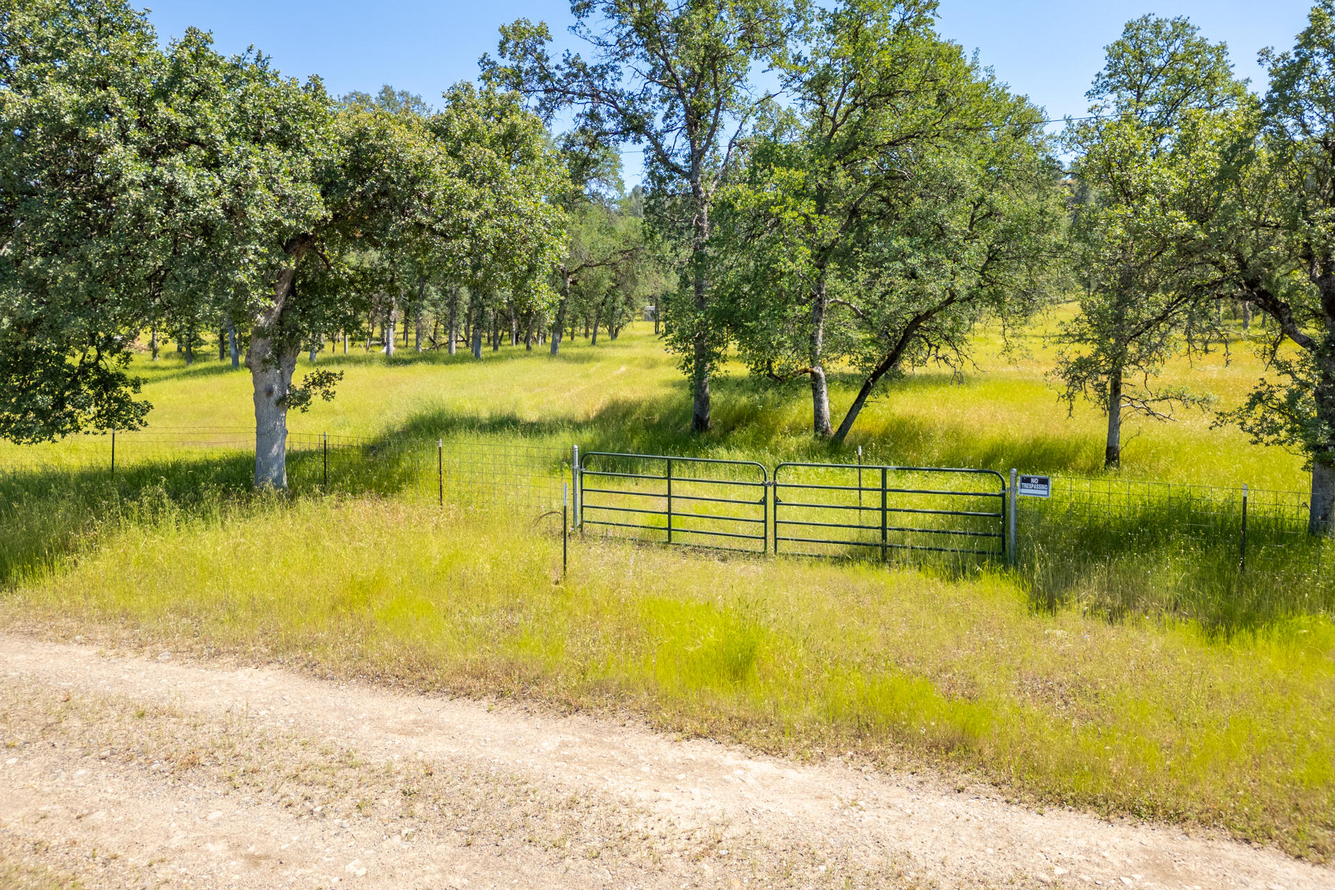 0 Racoon Way Oak Run, CA 96069 - Photo 35 of 39 Racoon001