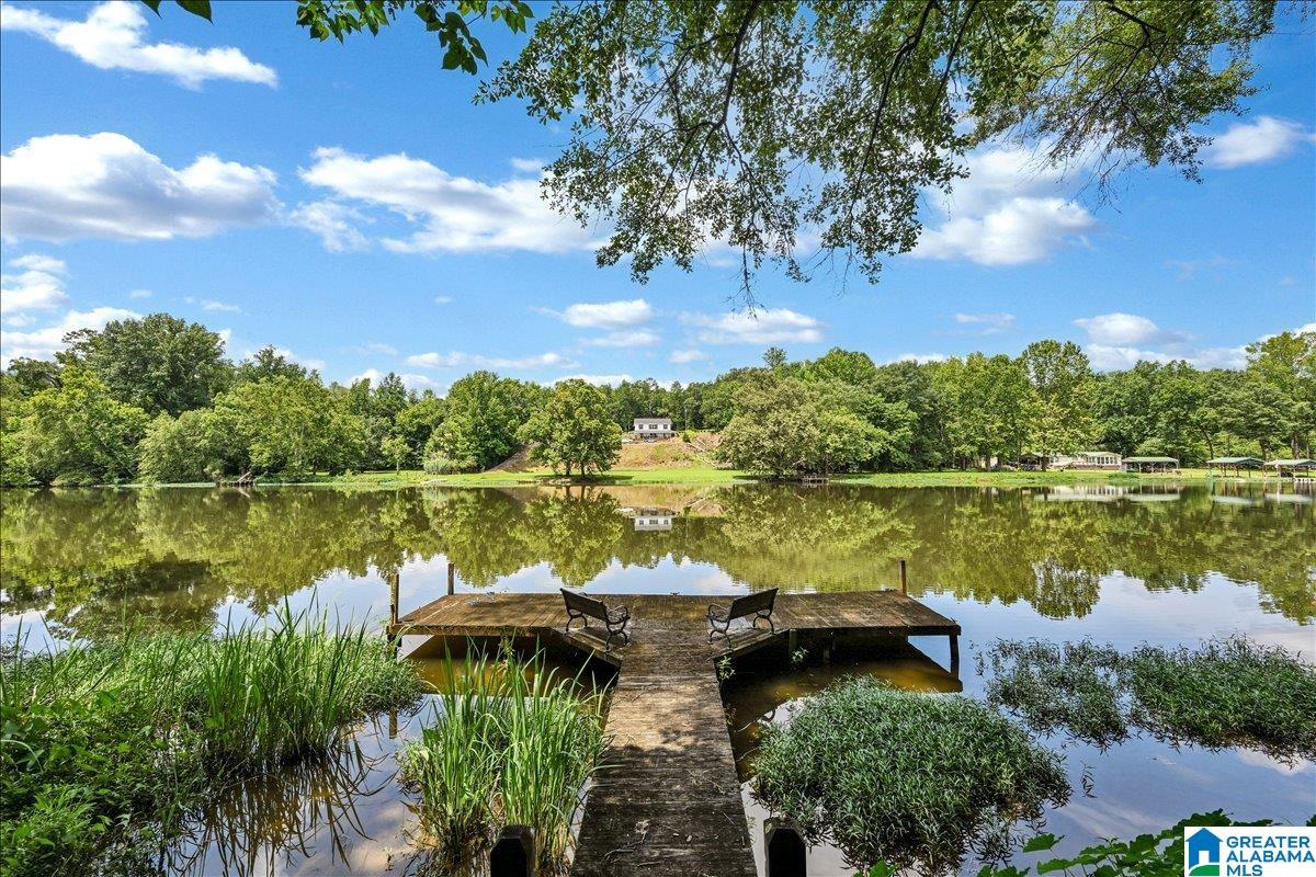 526 Boat Launch Road Quinton, AL 35130 - Photo 48 of 56