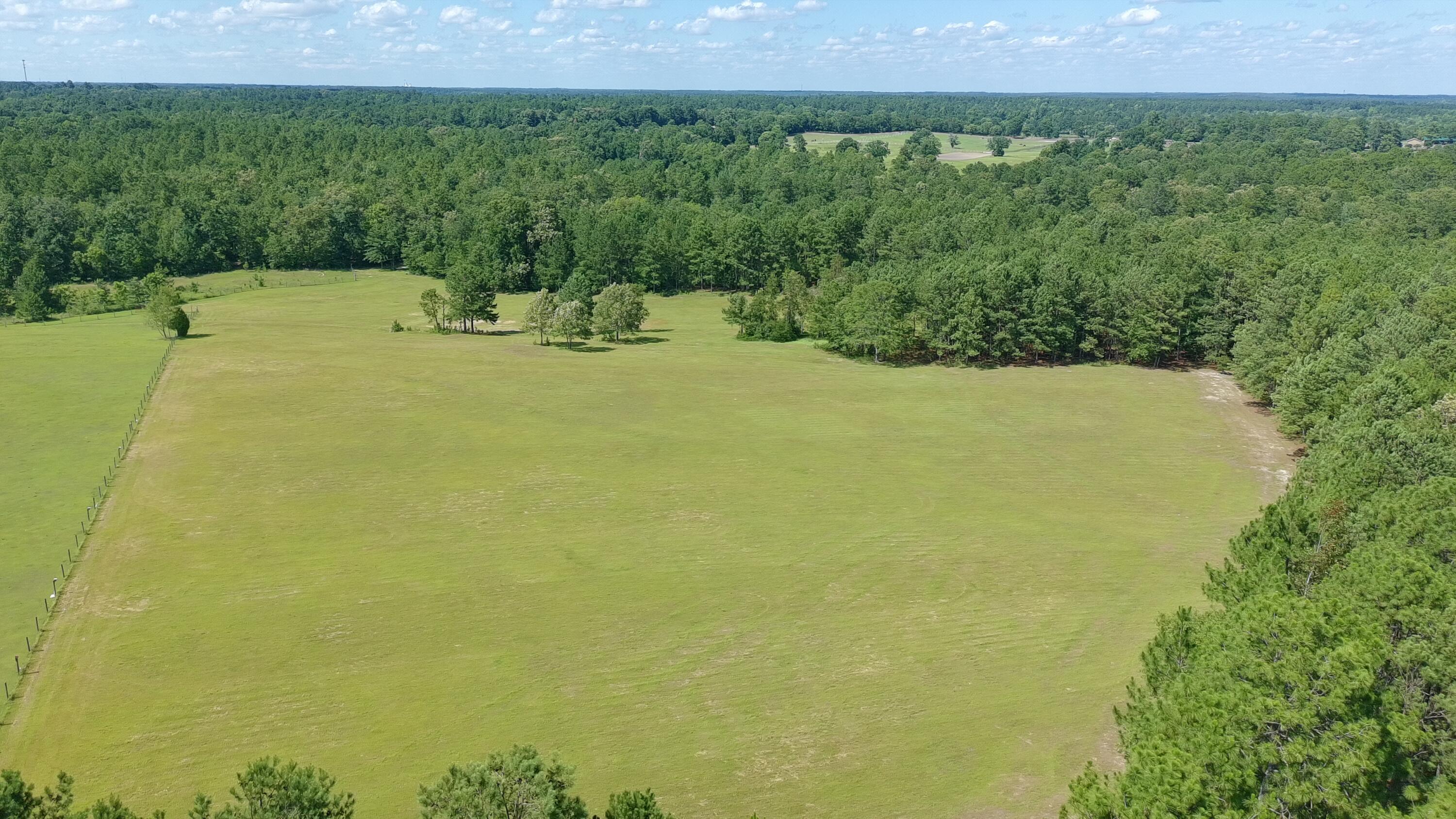41-acres Whiskey Road Aiken, SC 29803 - Photo 8 of 44