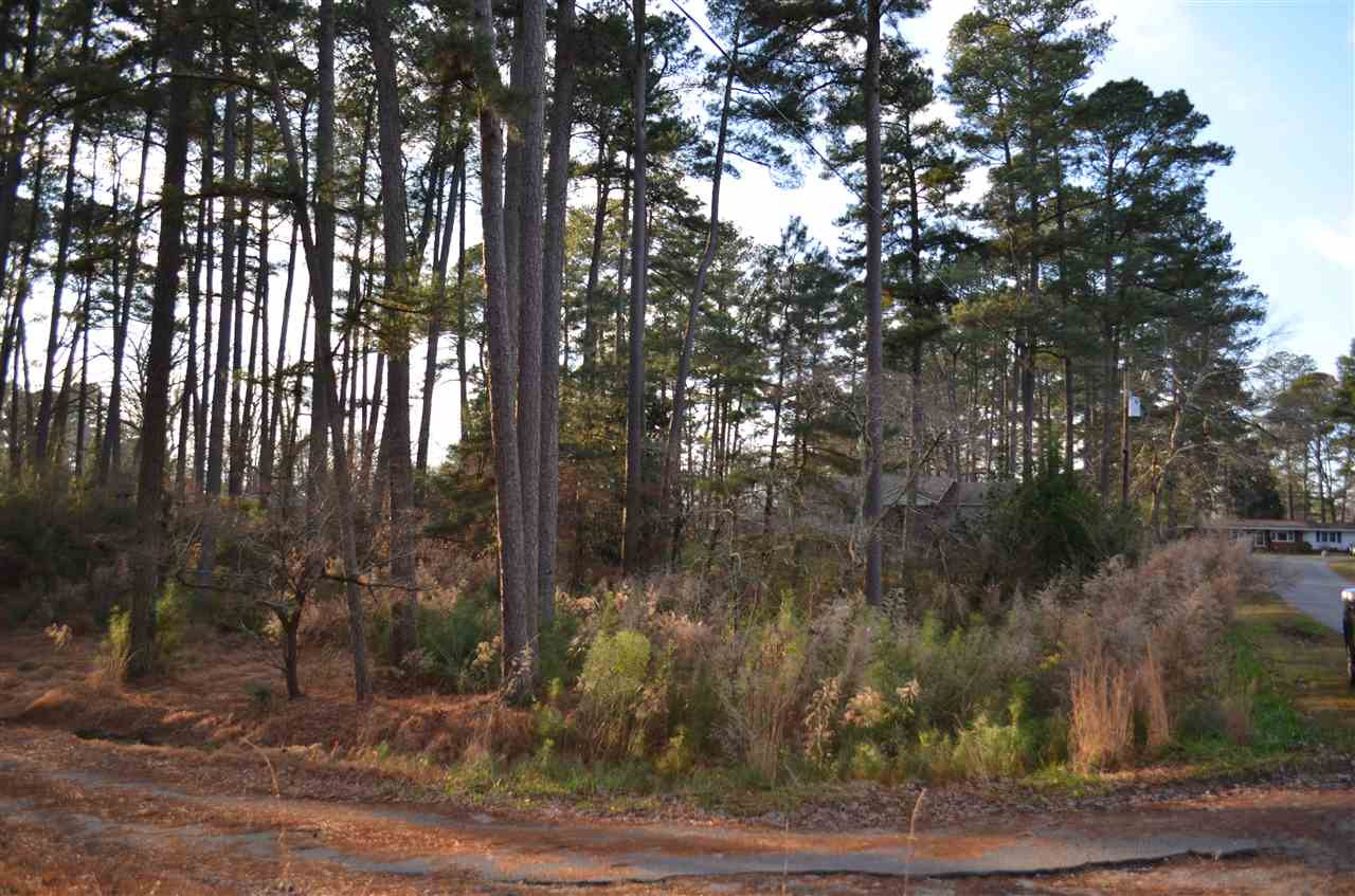 1123 Hodge Road Knightdale, NC 27545 - Photo 26 of 30 Photo 26