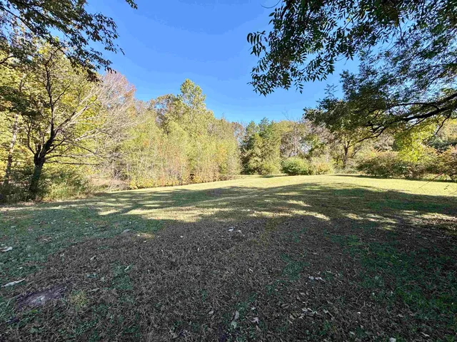 a view of dirt field with large trees