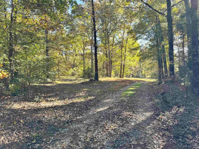 a view of outdoor space with trees