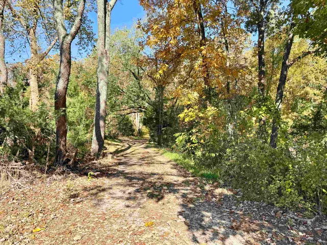 a view of a yard with plants and trees