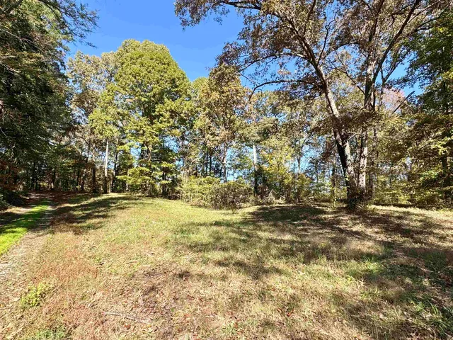 a view of a yard with an trees