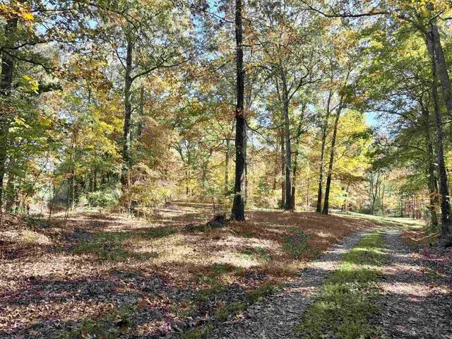 a view of dirt field with trees around