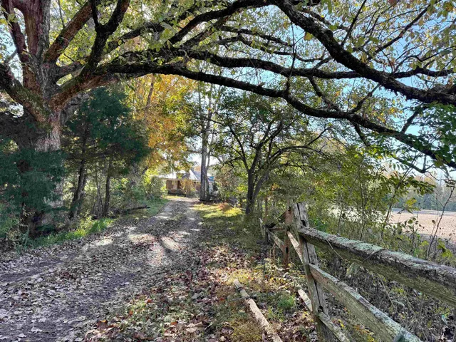 a view of backyard with green space